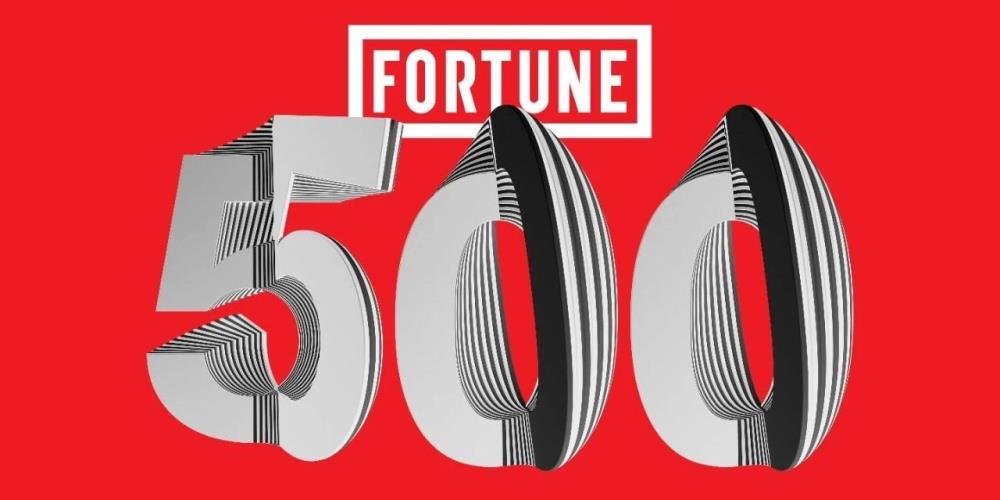 FORTUNE 500'DE LOJİSTİK ŞİRKETLERİ ŞAMPİYONU NETLOG